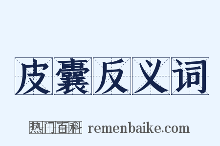 皮囊反义词是什么意思的图片